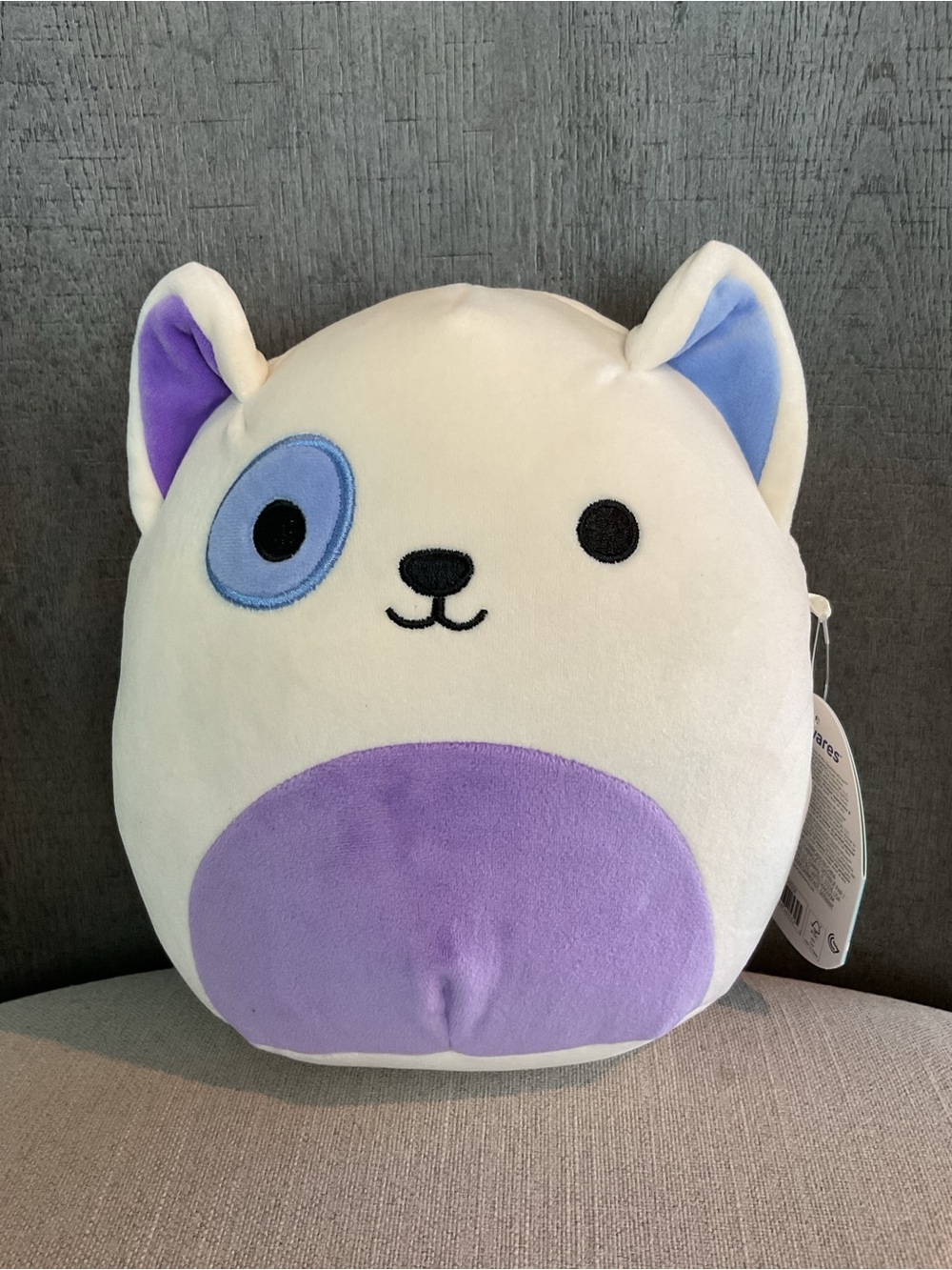 NWT Squishmallows Taghi the Bull Terrier Dog 8" Plush – FLAWED - Picture 2 of 10
